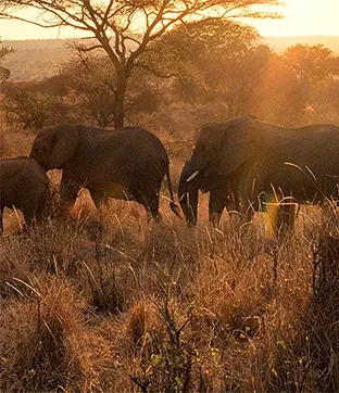 Tanzania